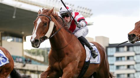 PB Lawrence Stakes 2024 Field, Tips, Odds, Betting, Results.